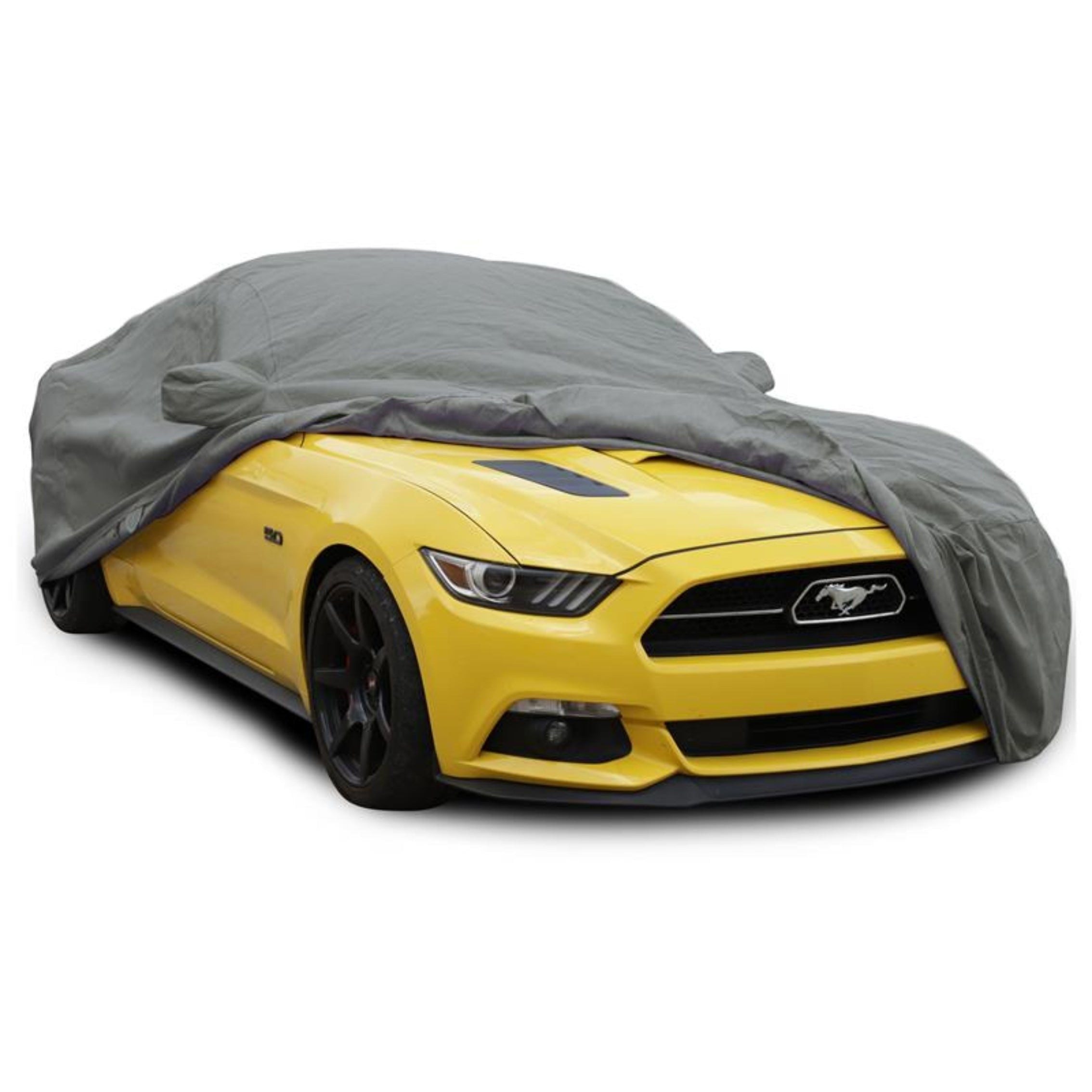 Car Covers & Protection