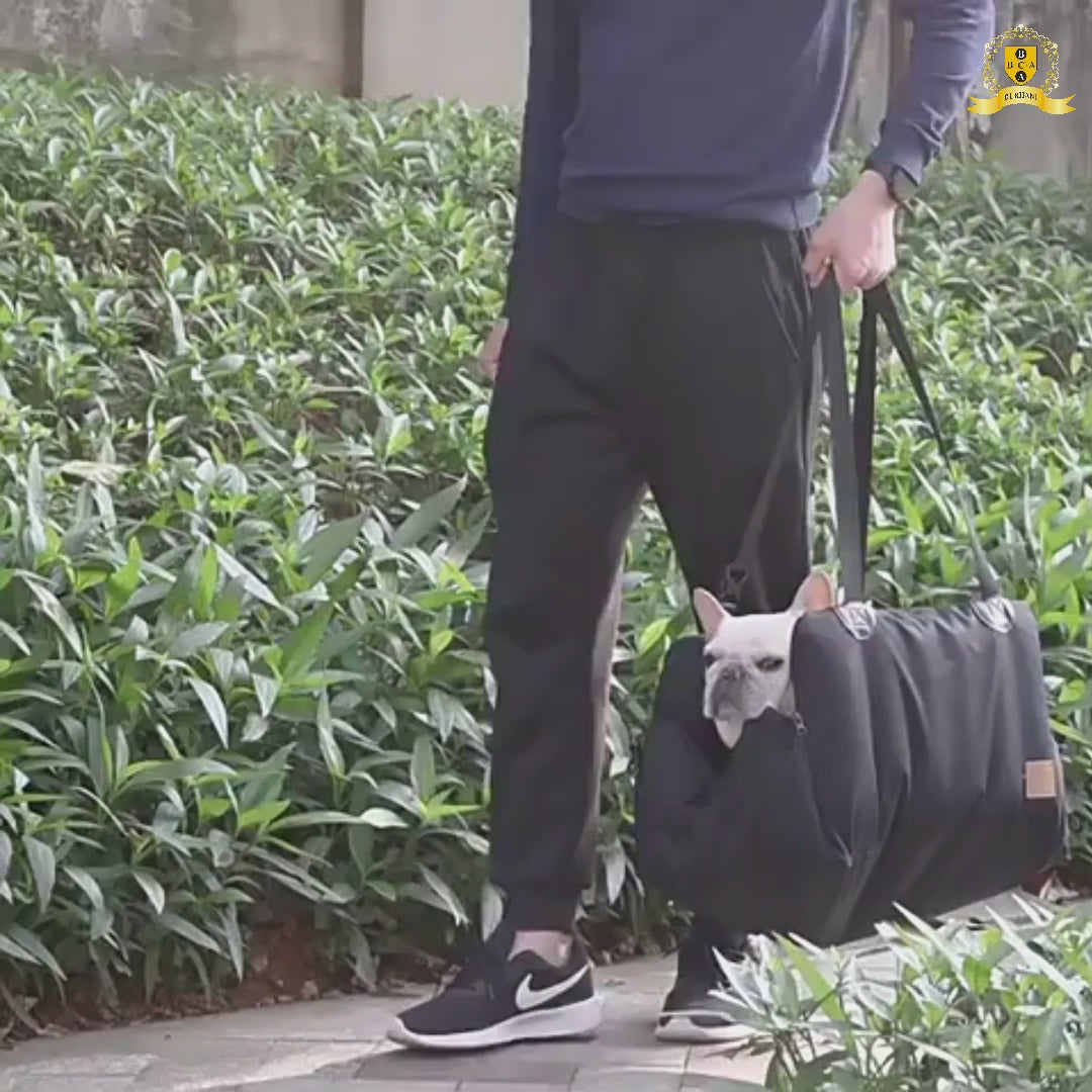 مقعد معزز للسيارة للحيوانات الأليفة 17