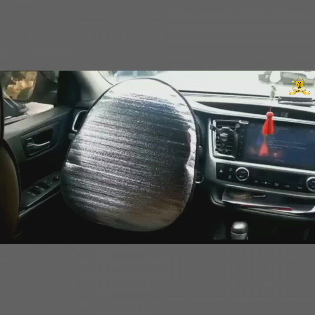 مظلة عجلة القيادة 9