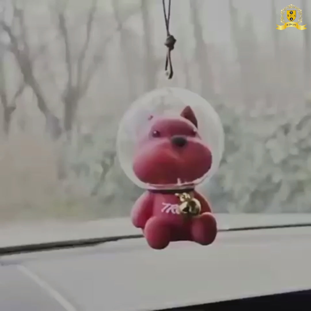 قلادة كلب الفضاء المتأرجح 11